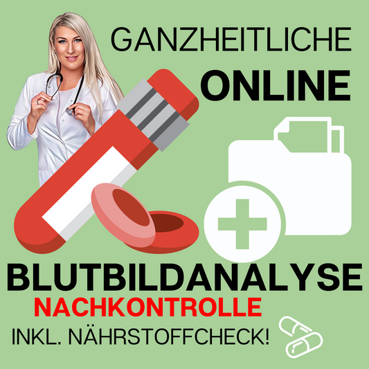 Nachkontrolle - Ganzheitliche Online- Blutbildanalyse