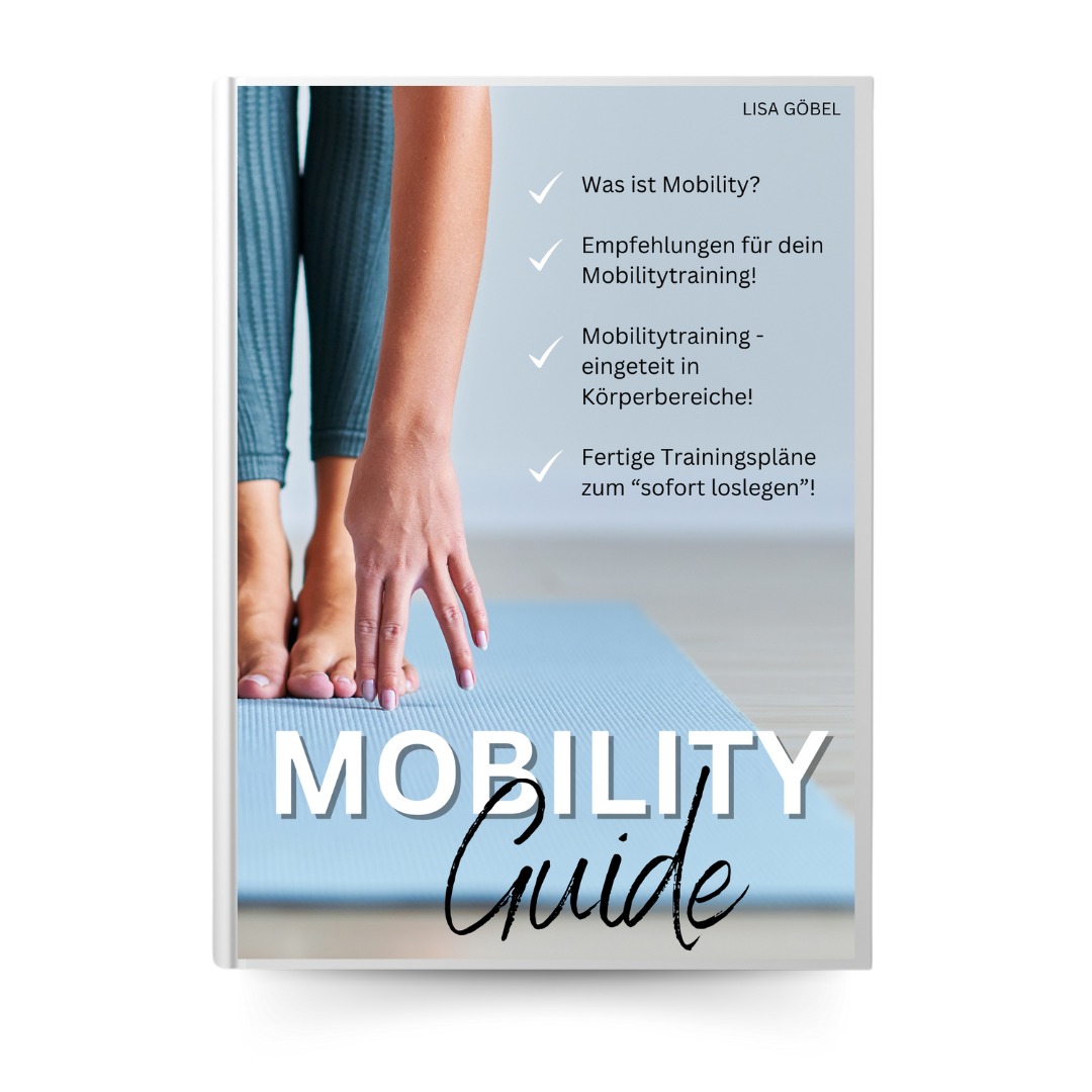 Mini Guide Mobility Mobility Guide