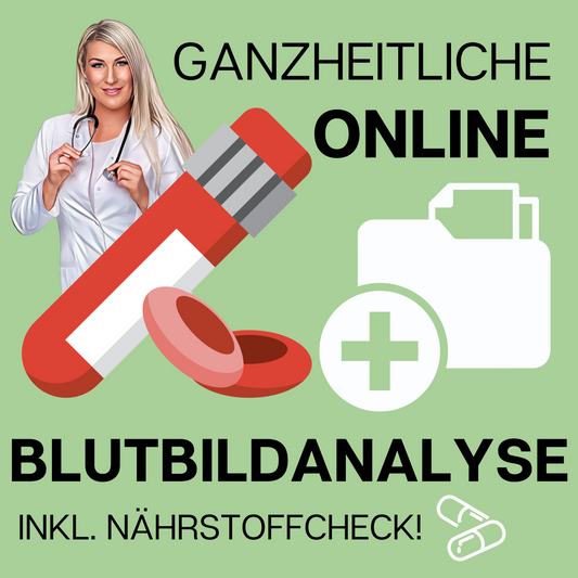Ganzheitliche Online- Blutbildanalyse